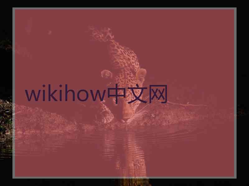 wikihow中文网
