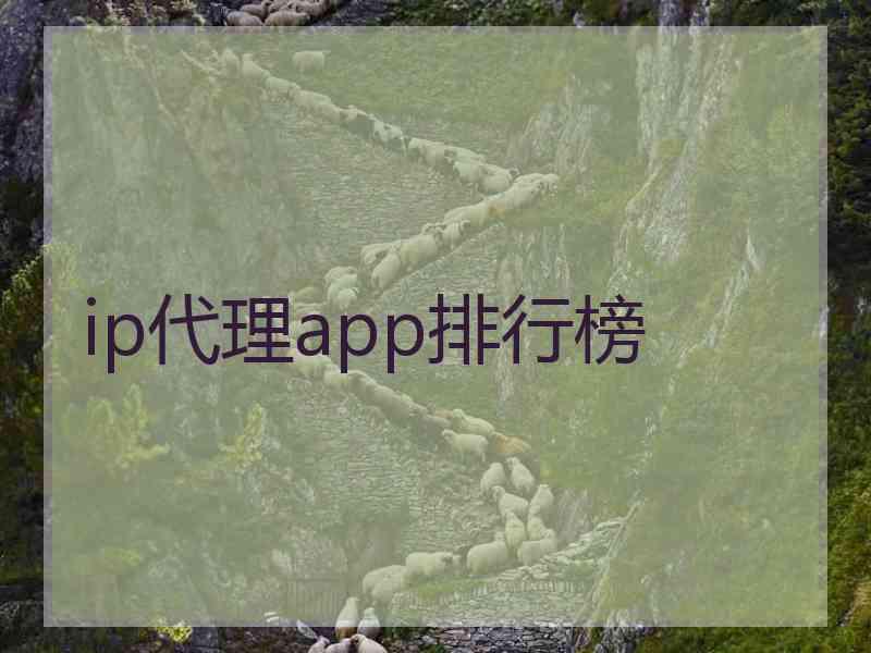 ip代理app排行榜