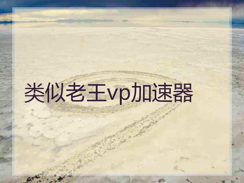 类似老王vp加速器