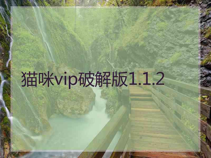 猫咪vip破解版1.1.2