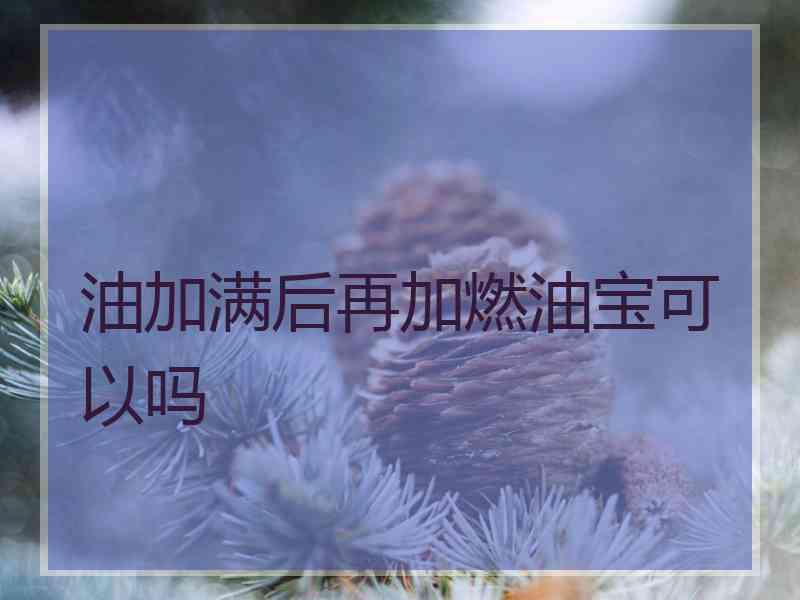 油加满后再加燃油宝可以吗