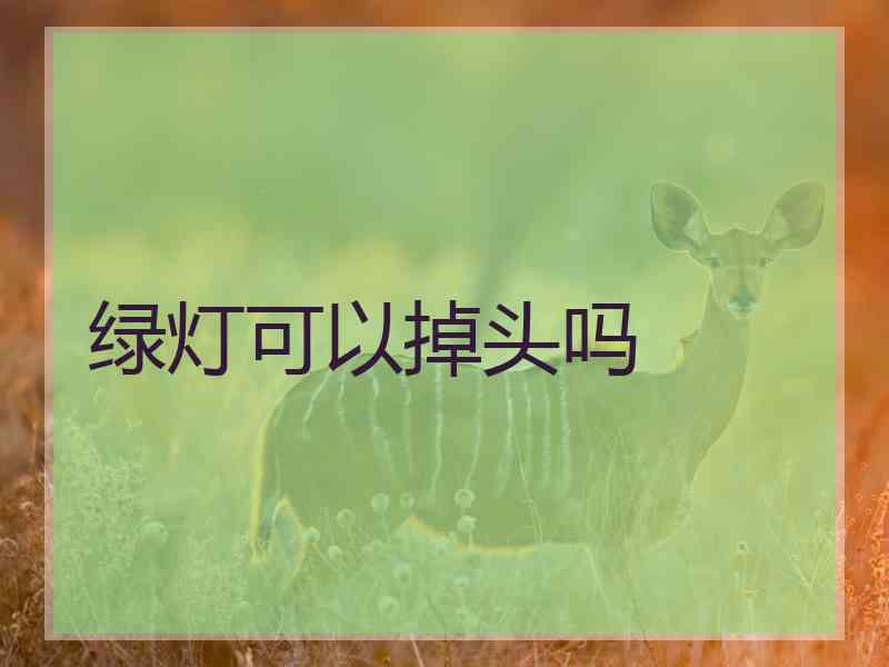 绿灯可以掉头吗