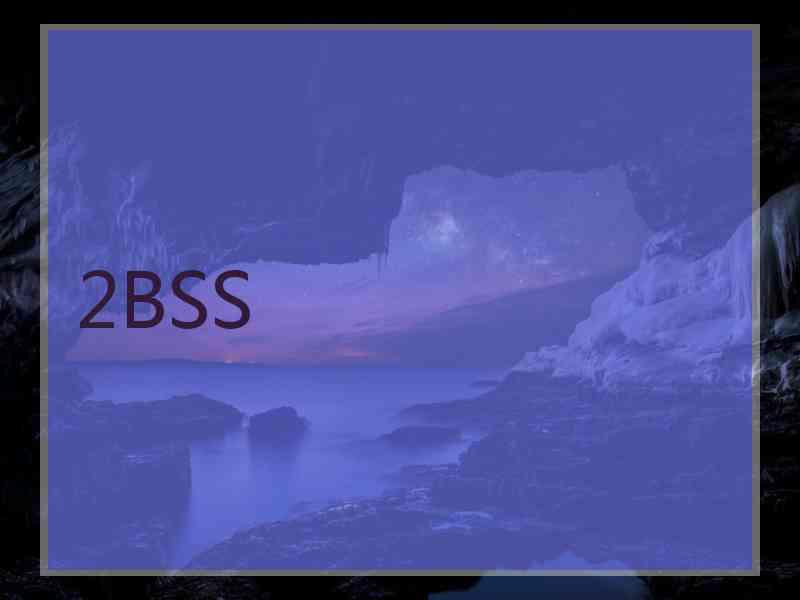 2BSS