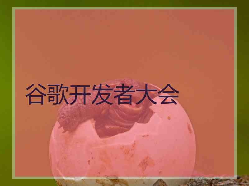 谷歌开发者大会