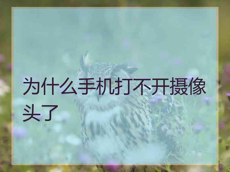 为什么手机打不开摄像头了