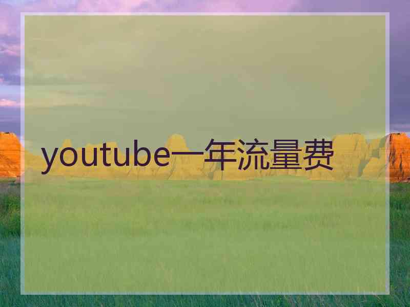 youtube一年流量费