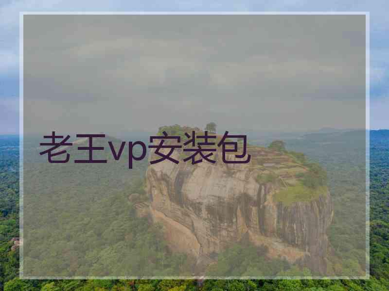 老王vp安装包