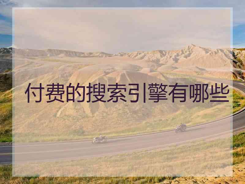 付费的搜索引擎有哪些