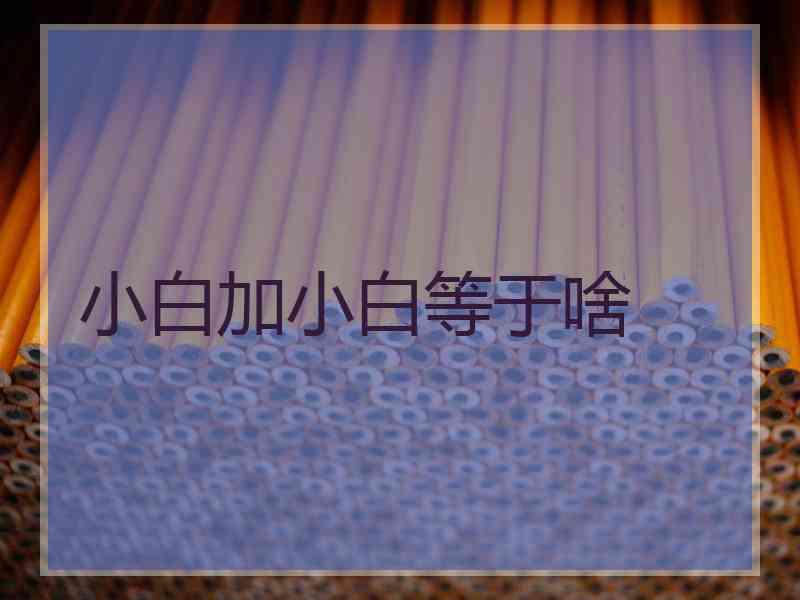 小白加小白等于啥