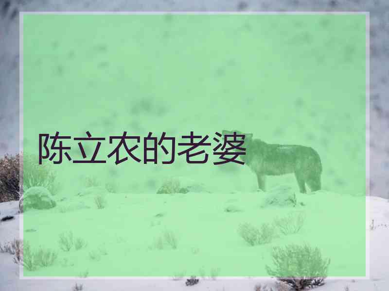 陈立农的老婆