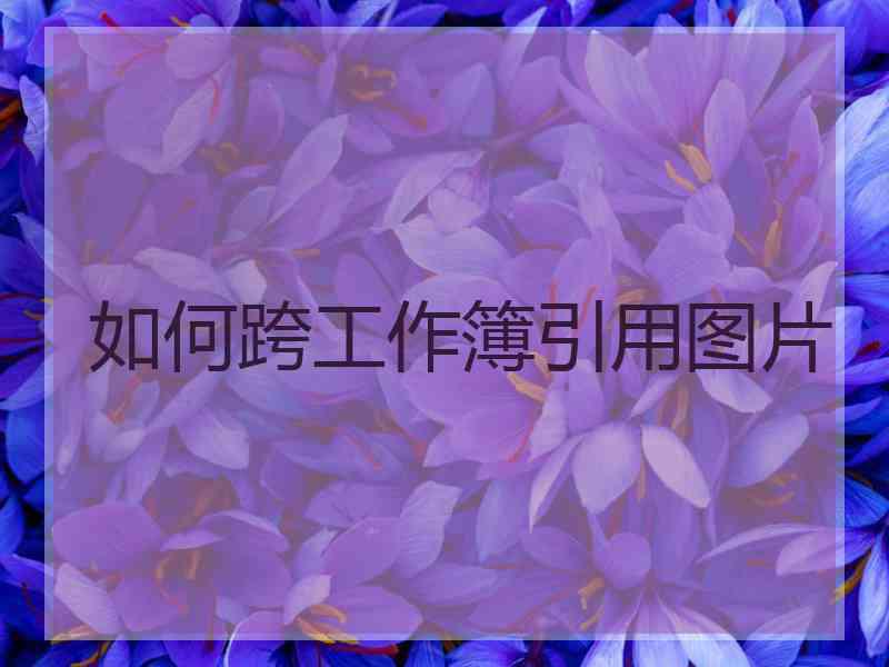 如何跨工作簿引用图片