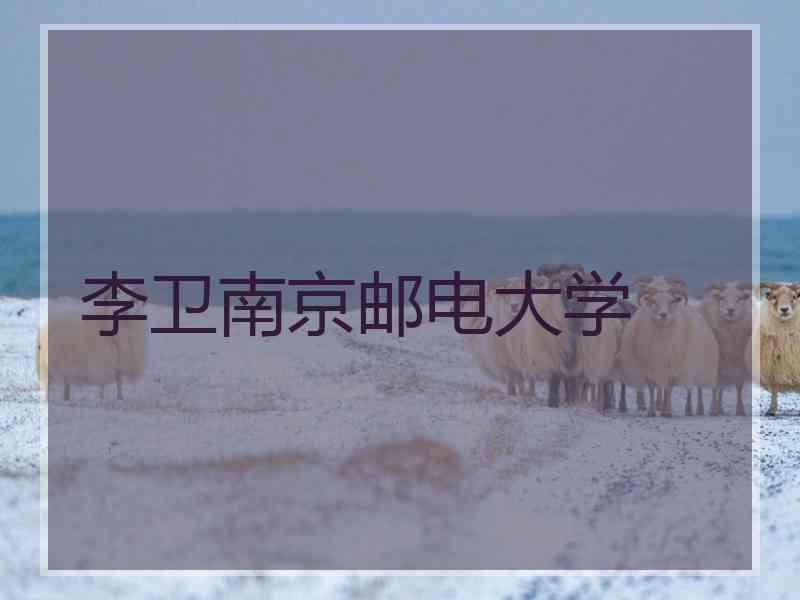 李卫南京邮电大学