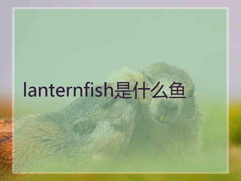 lanternfish是什么鱼