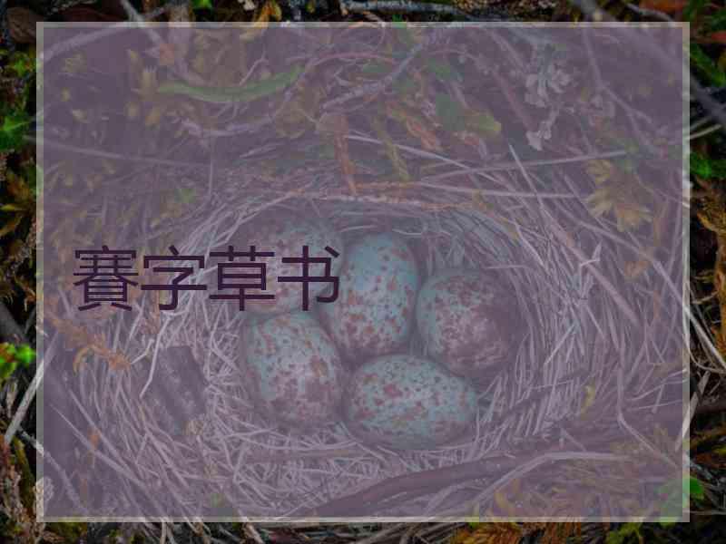 賽字草书