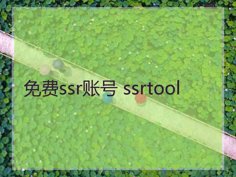 免费ssr账号 ssrtool