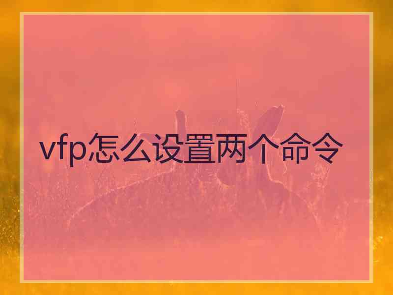vfp怎么设置两个命令