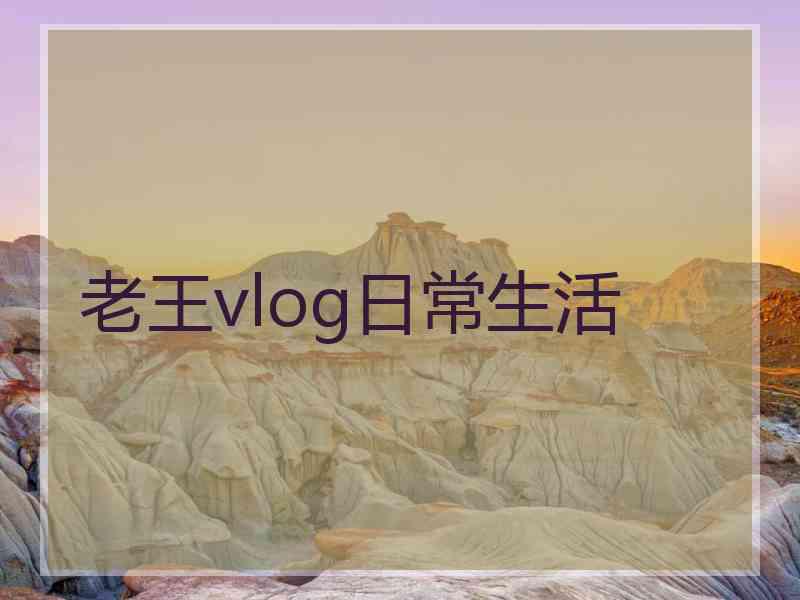 老王vlog日常生活