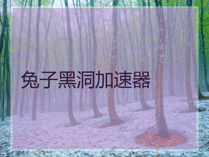 兔子黑洞加速器