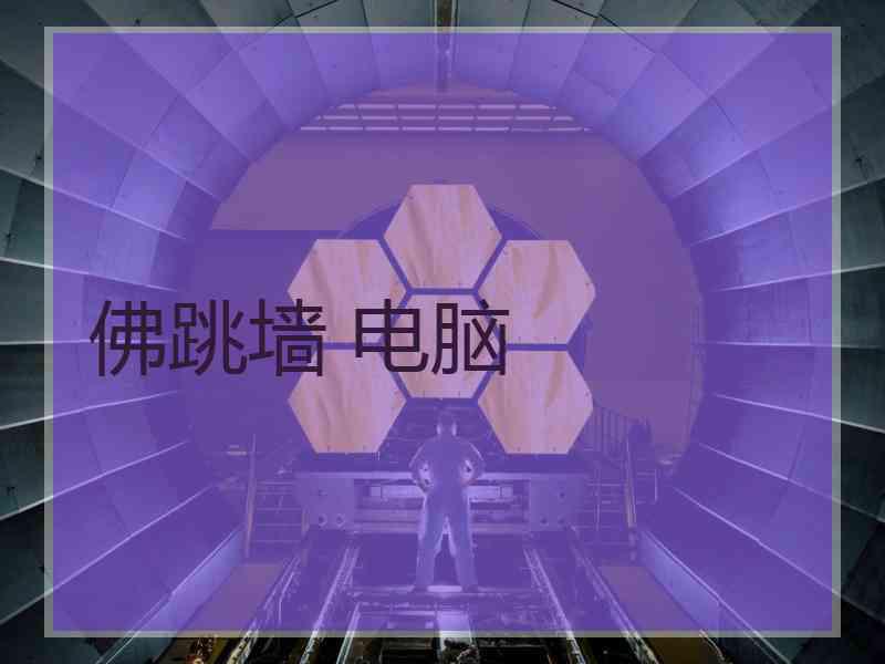 佛跳墙 电脑