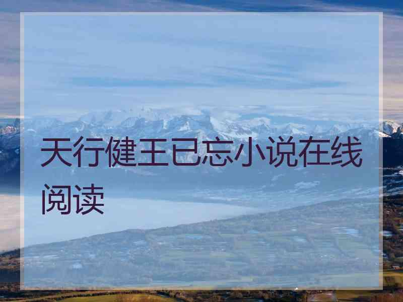天行健王已忘小说在线阅读