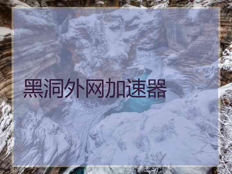 黑洞外网加速器