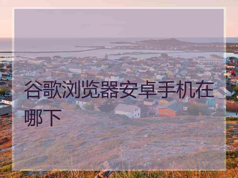 谷歌浏览器安卓手机在哪下