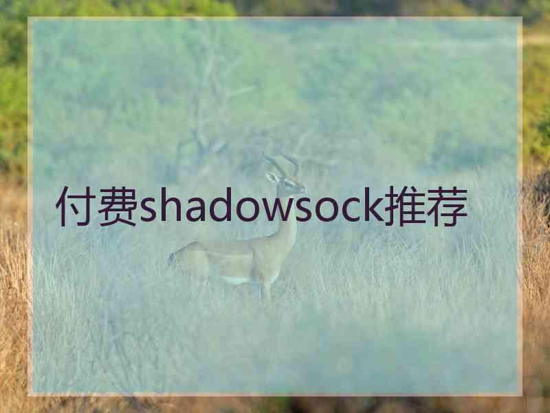 付费shadowsock推荐