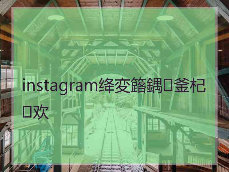 instagram绛変簬鍝釜杞欢