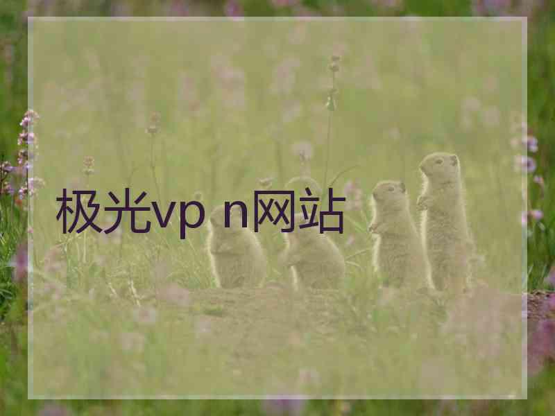 极光vp n网站