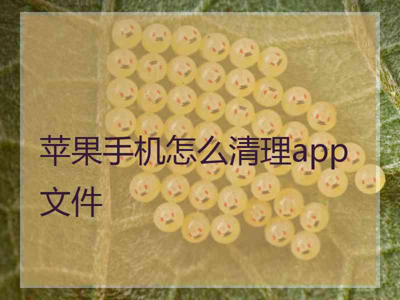 苹果手机怎么清理app文件