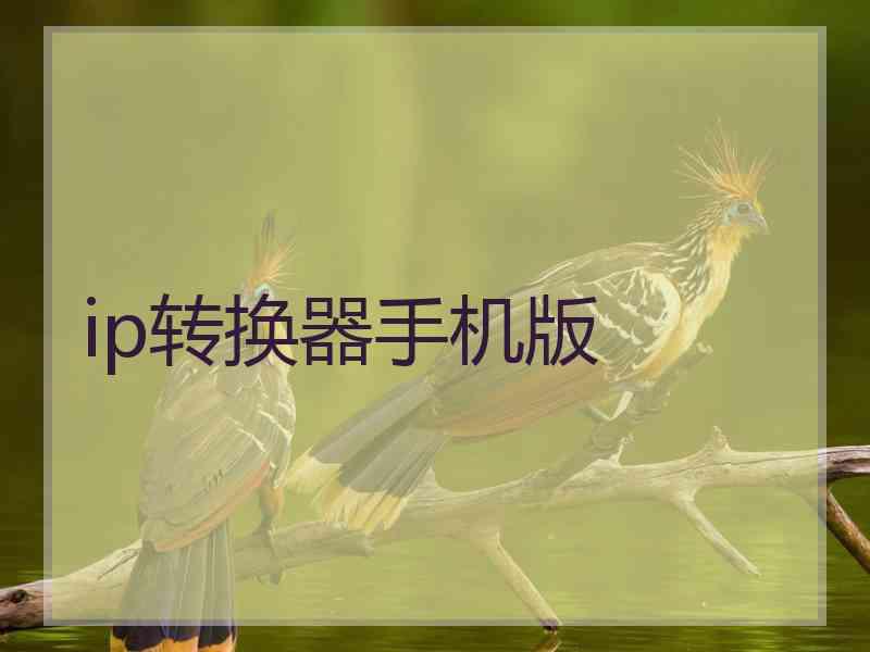 ip转换器手机版