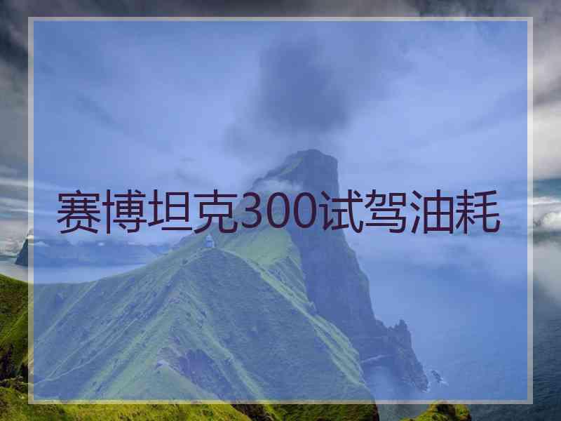 赛博坦克300试驾油耗