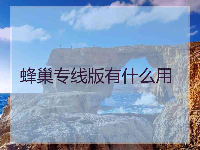 蜂巢专线版有什么用