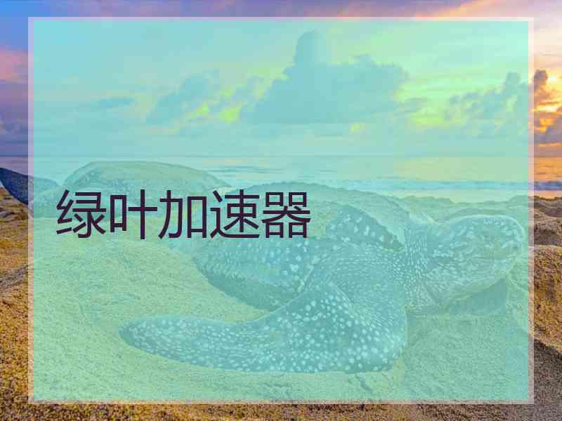 绿叶加速器