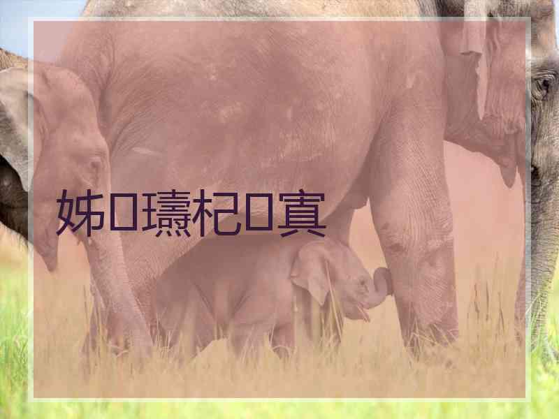 姊瓙杞寘