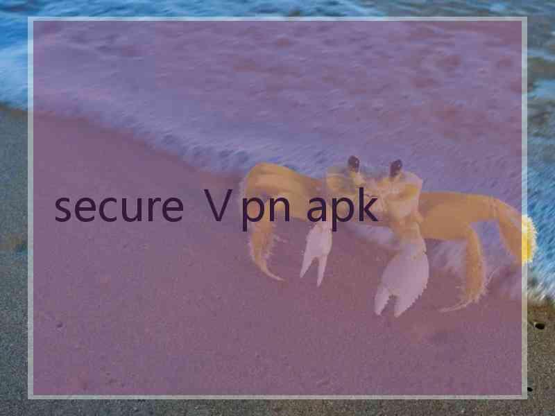 secure Ⅴpn apk