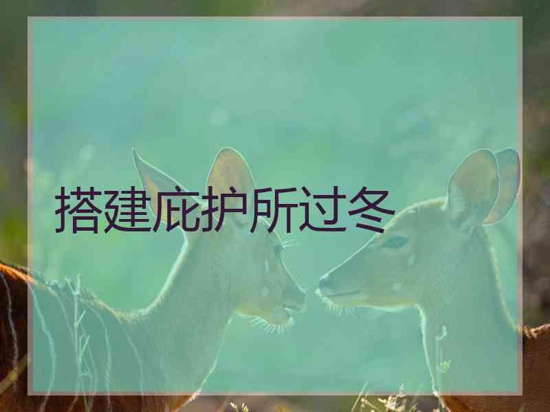 搭建庇护所过冬