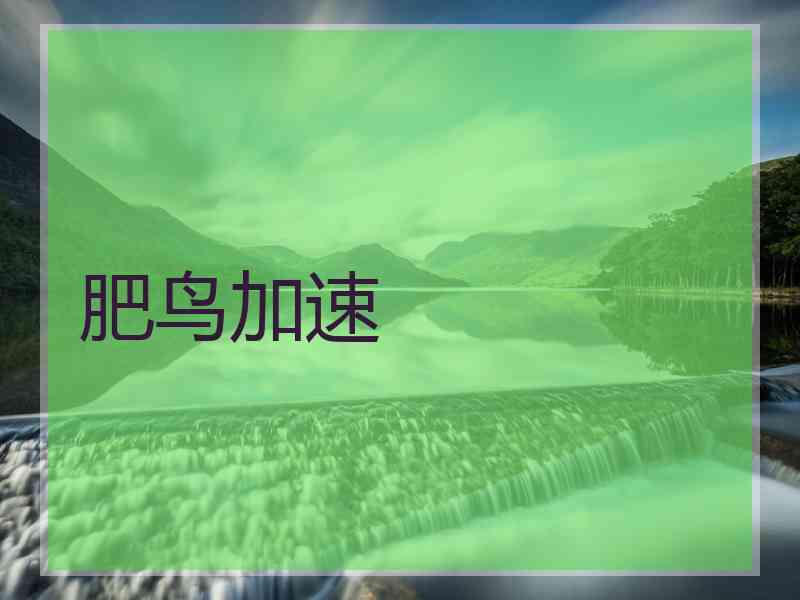 肥鸟加速
