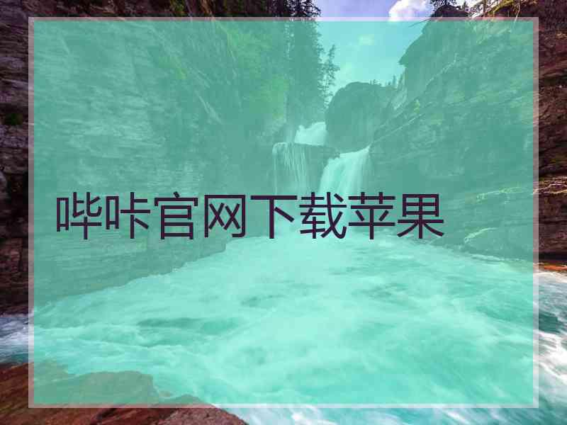 哔咔官网下载苹果