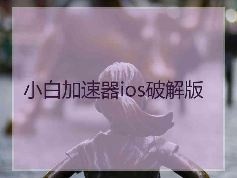 小白加速器ios破解版