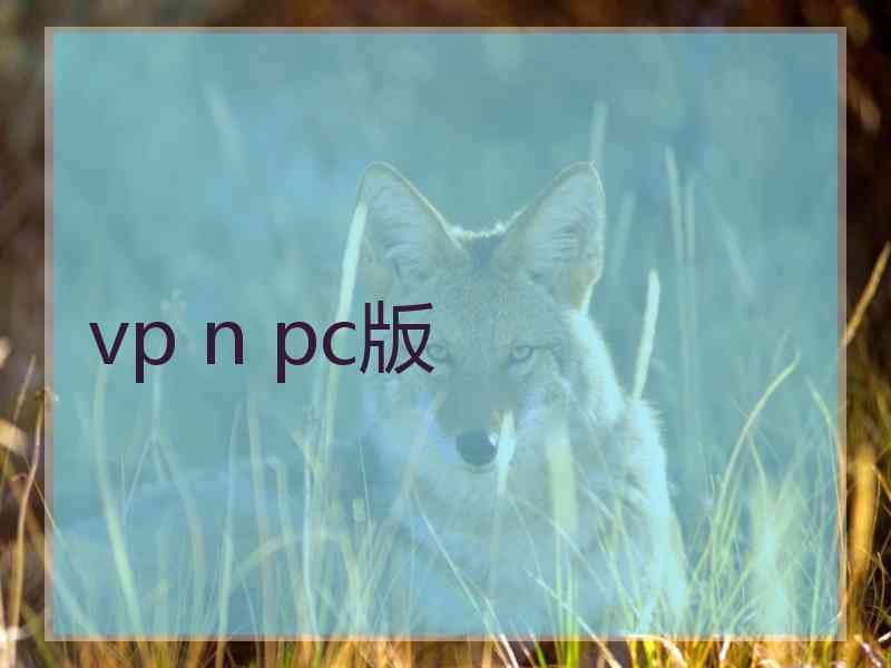 vp n pc版