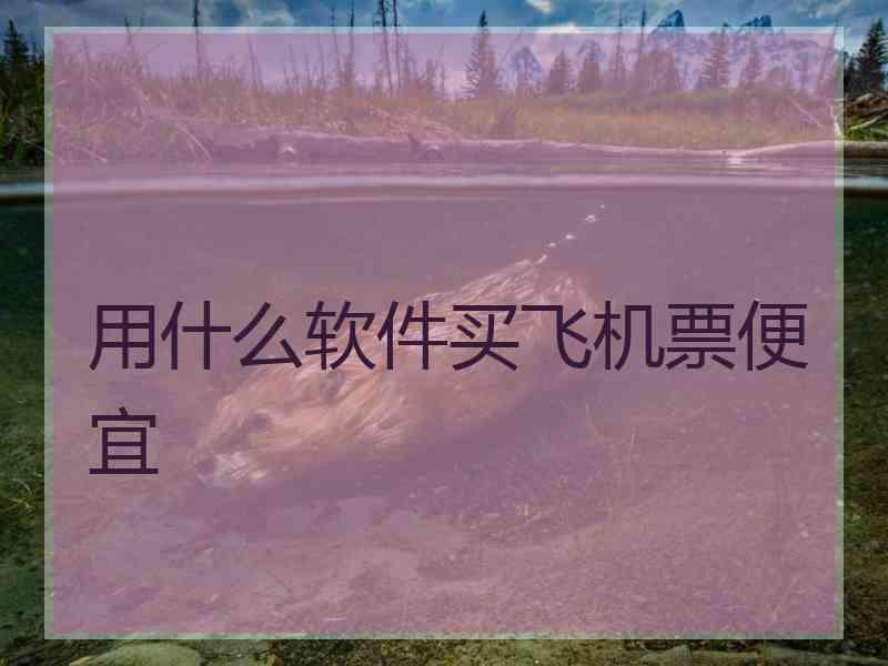 用什么软件买飞机票便宜