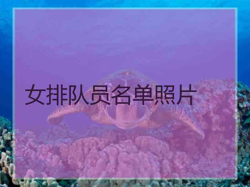 女排队员名单照片