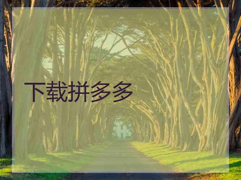 下载拼多多