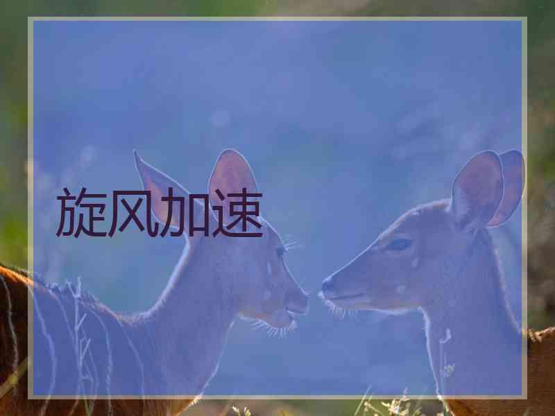 旋风加速