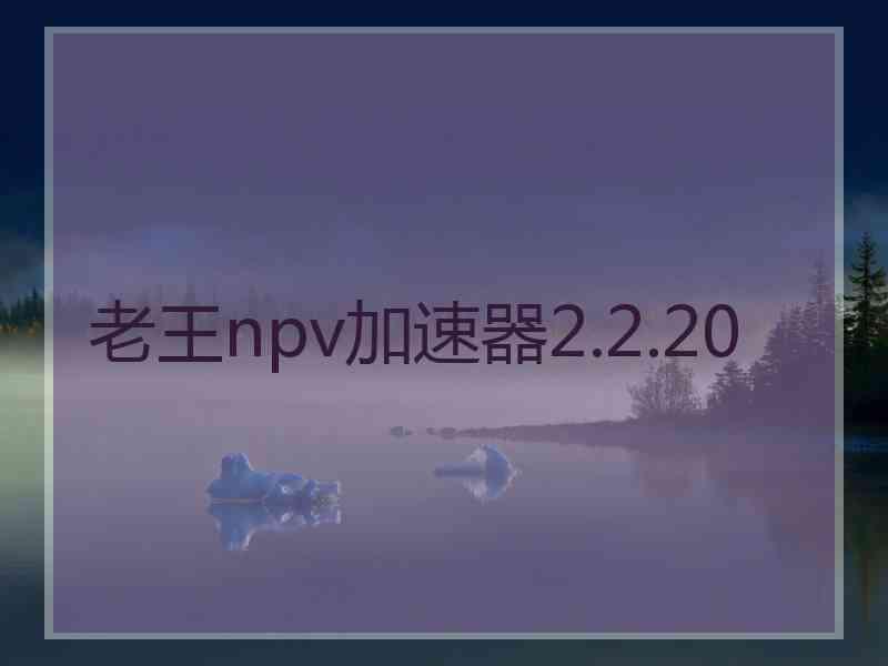 老王npv加速器2.2.20