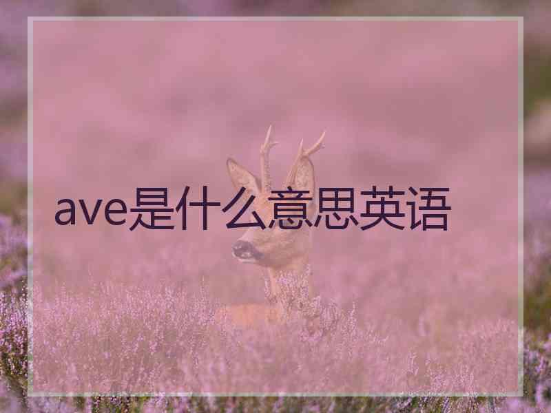 ave是什么意思英语
