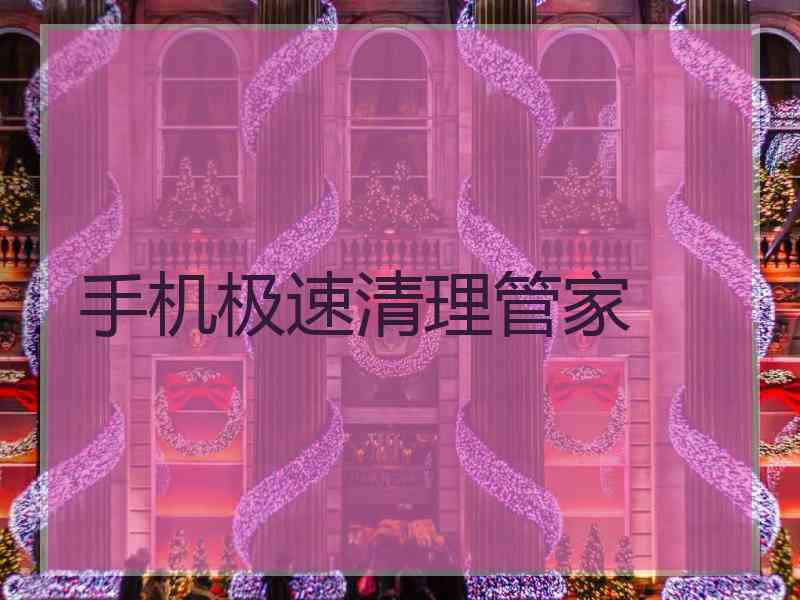 手机极速清理管家
