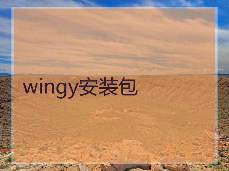 wingy安装包
