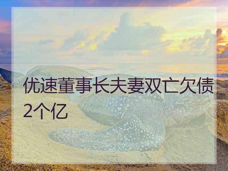 优速董事长夫妻双亡欠债2个亿